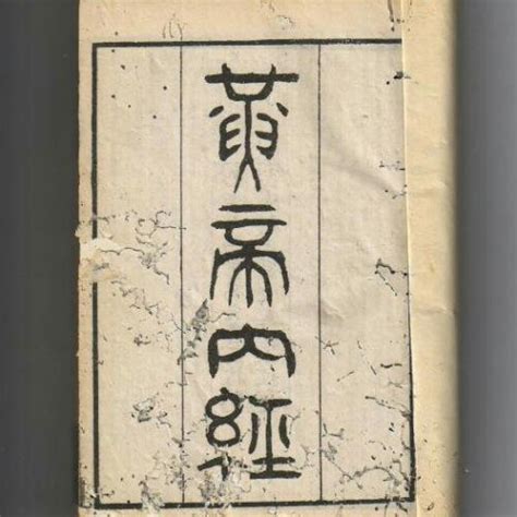 七沖門|《中醫詞典》解釋「飛門」的意思